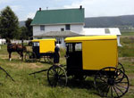 Amish Quilter - Yellow Amish Buggy Amish Quilter - Yellow Amish Buggy