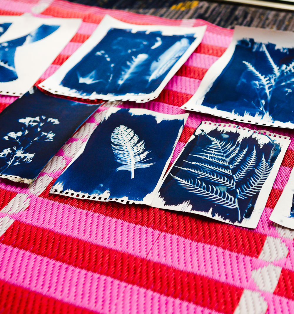cyanotype.jpg