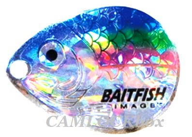 Northland Fishing Tackle Baitfish Floating Crawler Spinner Harness Rainbow  Chub (RFH6-6-RB) - CAMLOCKbox