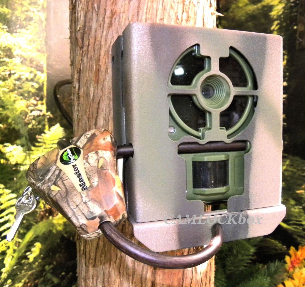 primos-proof-cam-01-63054-security-box-camlockbox