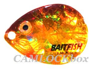 Northland Fishing Tackle Baitfish Floating Crawler Spinner Harness Gold  Shiner / Size 4 (RCH4-6-GR) - CAMLOCKbox