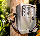 Moultrie A-20 Security Box