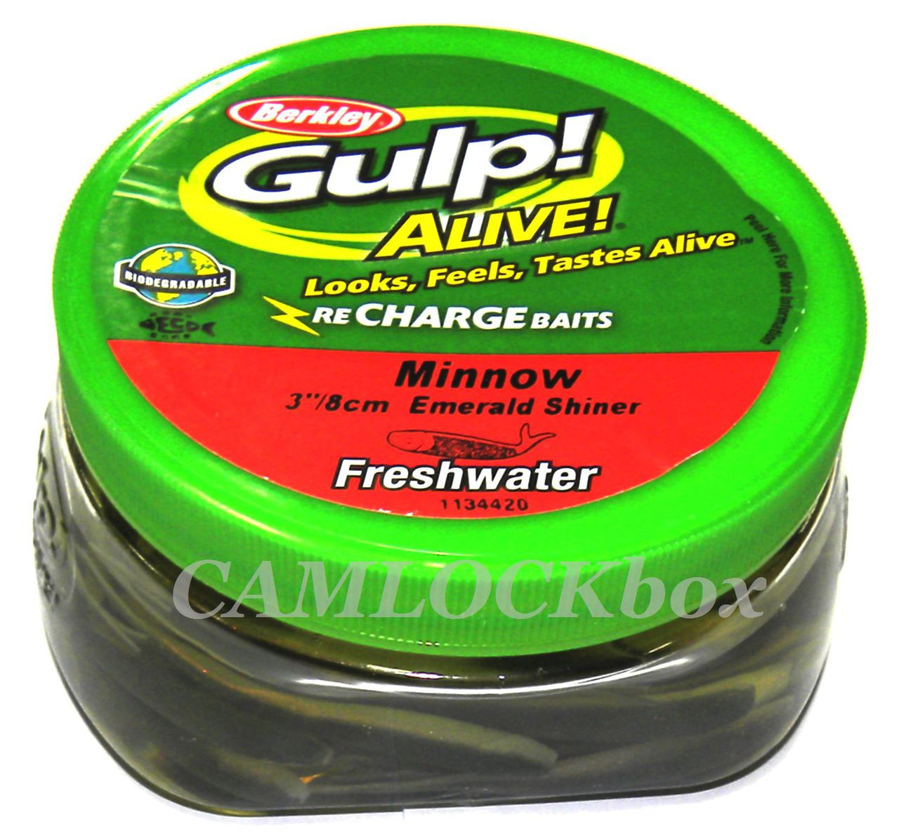 Berkley Gulp! Alive!® 3 Minnow - Emerald Shiner (11.2 oz Bucket) -  CAMLOCKbox
