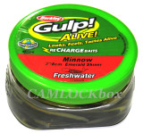 Berkley Gulp! Alive!® 3" Minnow - Emerald Shiner (11.2 oz Bucket)
