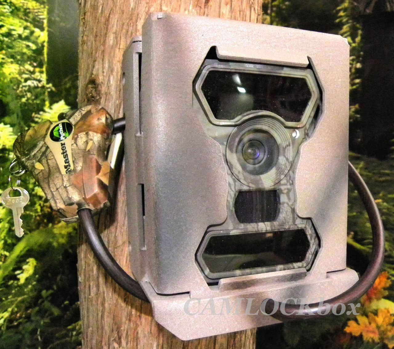 swift box with camera