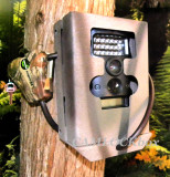 Wildgame Innovations Terra 6 Lightsout (TR6B2B) Security Box