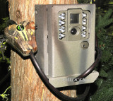Moultrie A-30 Security Box