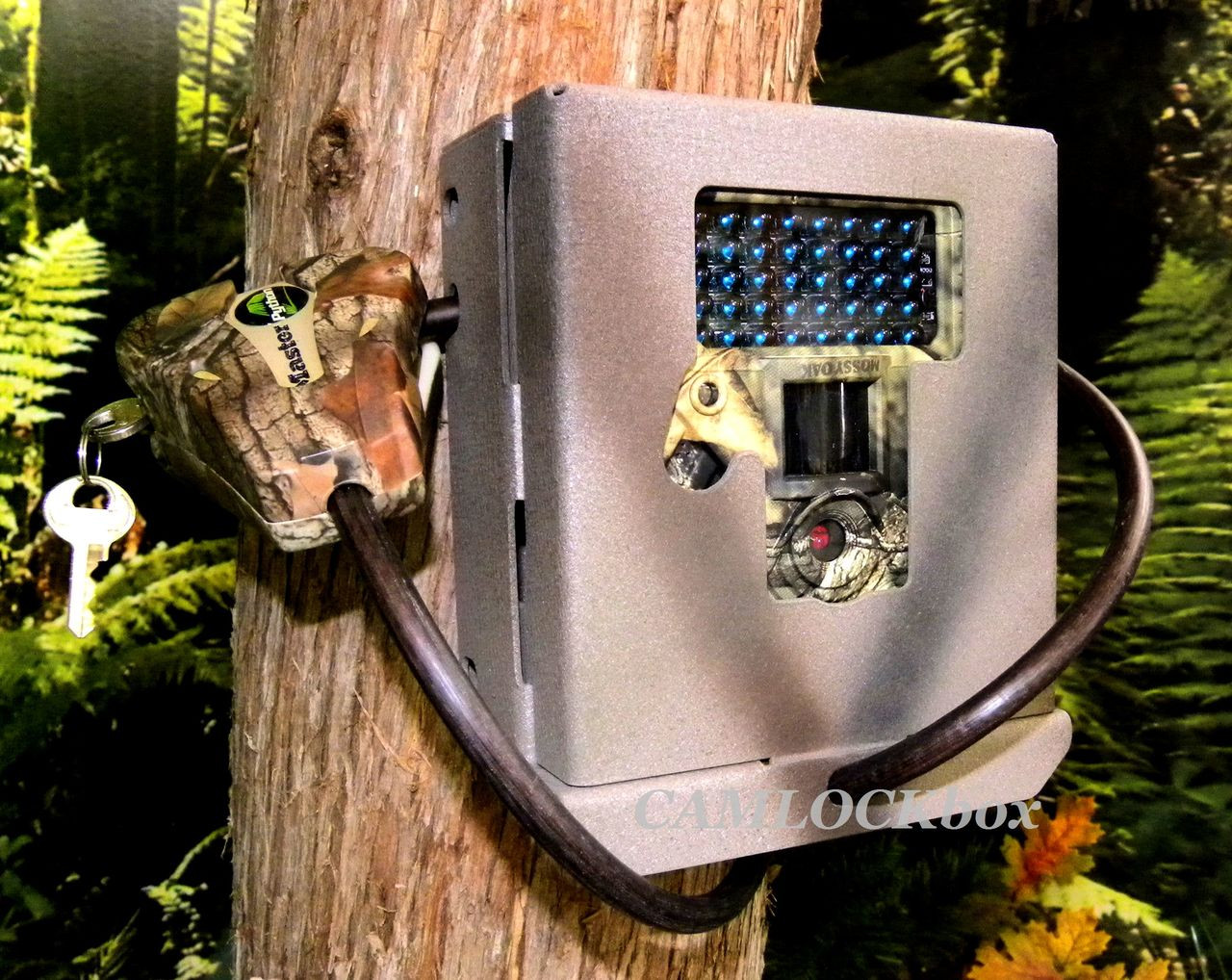 Camlock Box Covert Viper Security Box Only 