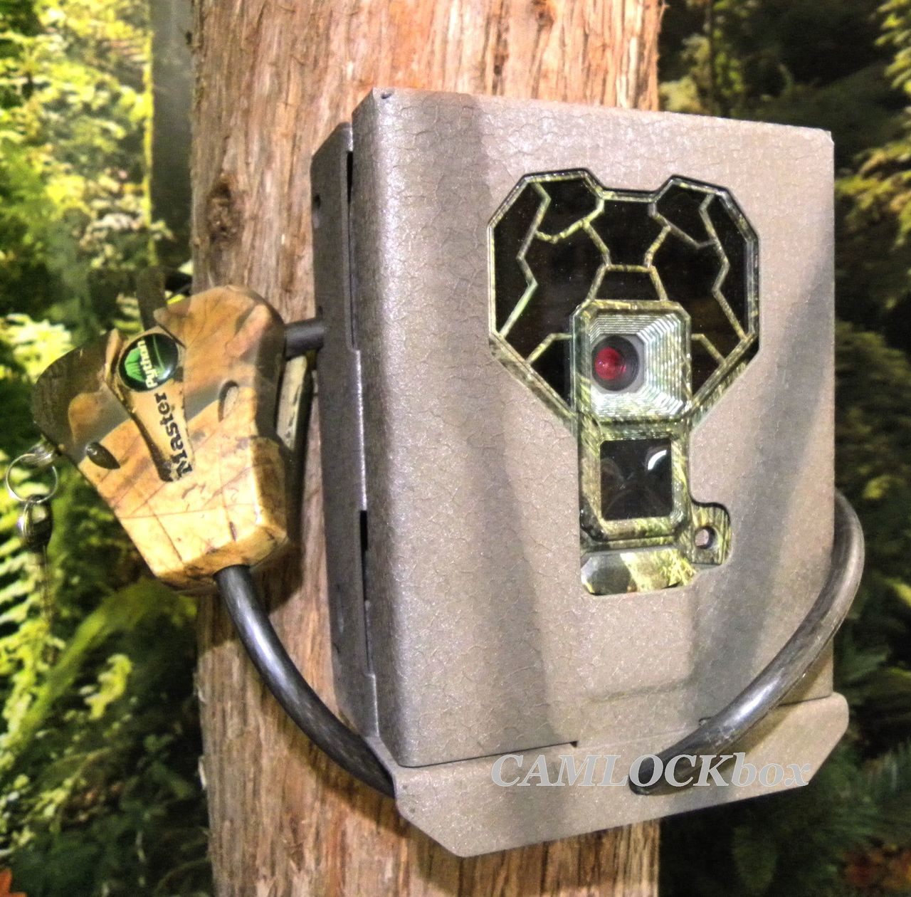 Stealth Cam Trail Hawk Security Box CAMLOCKbox