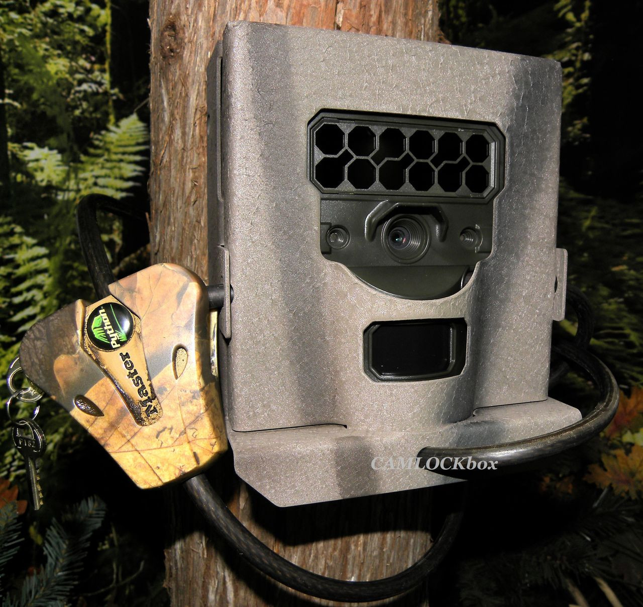 Reconyx Hyperfire 2 Trail Camera