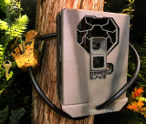 Stealth Cam PXP36NGK Security Box