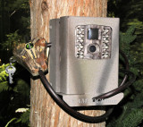 Moultrie W-40i Security Box