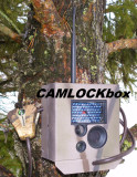 Buckeye X7D Security Box