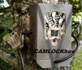 Cabela's Outfitter Series™ 8MP IR Security Box