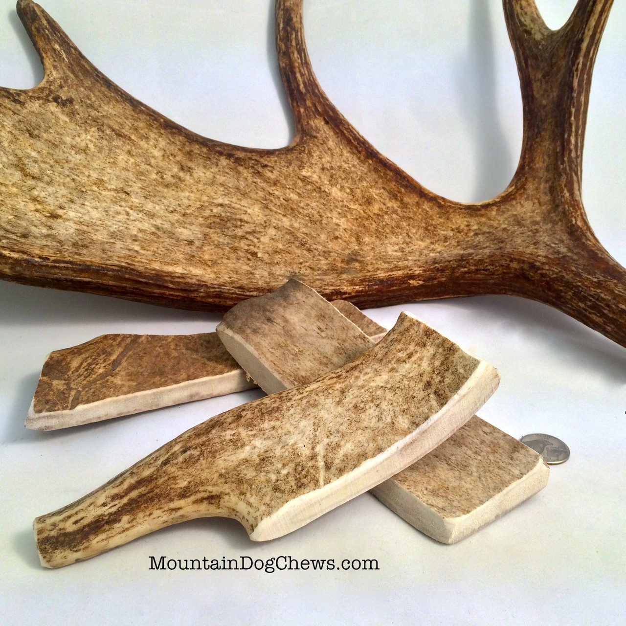 antler for dogs