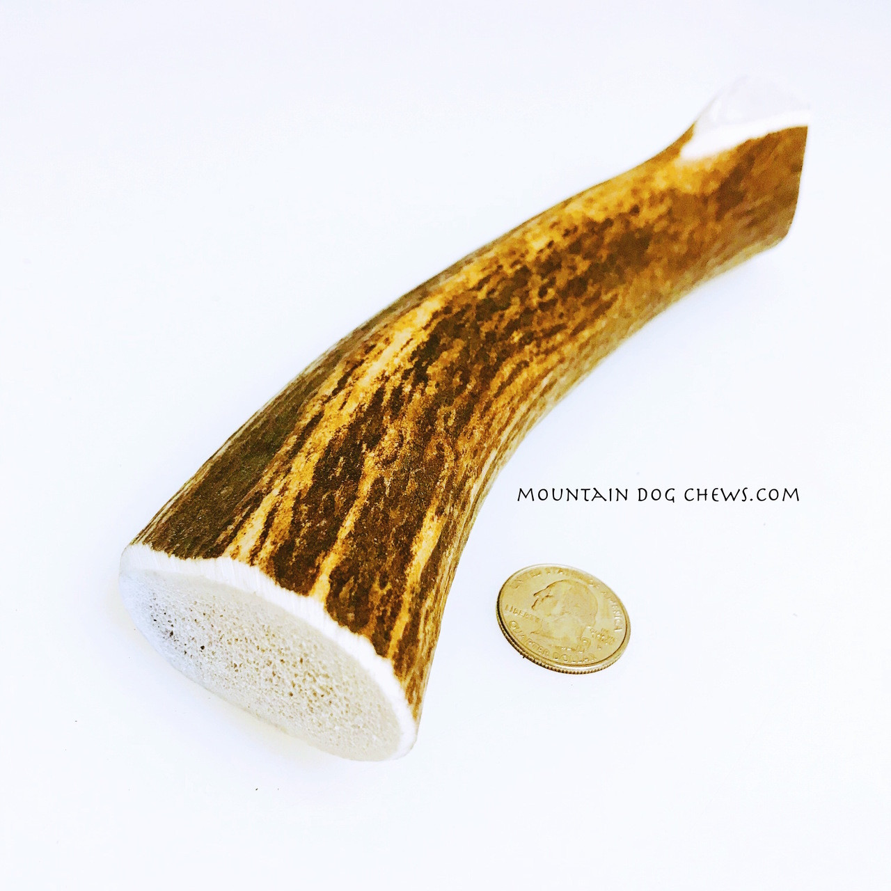 whole elk antlers for dogs