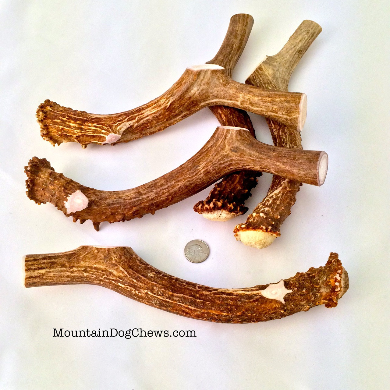 deer antler bones for dogs