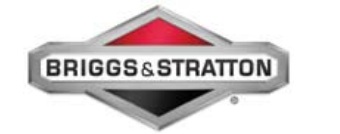 briggs-stratton.jpg