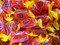 Watermelon Jolly Ranchers Watermelon