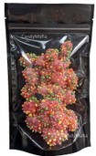 Freeze Dried Candy Nerds Gummy Clusters Red Rainbow