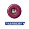Lifesavers Red Raspberry Lifesaver