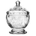 William Yeoward Crystal Fern Covered Bobbonniere 7 in 803241