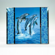 Swarovski Starlet Frame Blue 3.5x5 in 685555