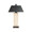 Jan Barboglio Hidalgo Torreon Stone Lamp with Iron Base and Smooth Iron Shade 21x12x31 in 1977