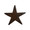 Jan Barboglio Estrella Cast Iron Star Paperweight 4x4x1 in 9546