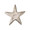 Jan Barboglio Estrella Cast Iron Star Paperweight Nickel-plated 4x4x1 in 9546NK