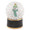 Herend Snow Globe Keylime 2x2x2.5 PNVHV116438-0-00
