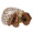 Herend Hermit Crab Fishnet Brown 2.25 x 1.25 in SVHBR215976-0-00