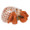 Herend Hermit Crab Fishnet Rust 2.25 x 1.25 in SVH---15976-0-00