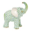 Herend Young elephant Fishnet Key Lime 3.5 x 3.75 in SVHV1-05272-0-00