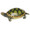 Herend Turtle Natural 4 x 1.5 in C-----15302-0-00