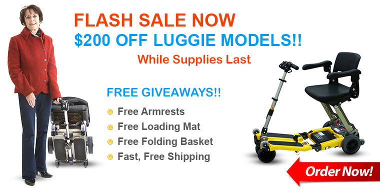 Big Fall Sale