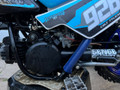 PW50 Frame Guards 