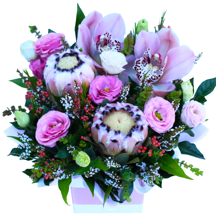 candice-proteas-and-orchids-in-box-arrangement-of-flowers-gold-coast.jpg