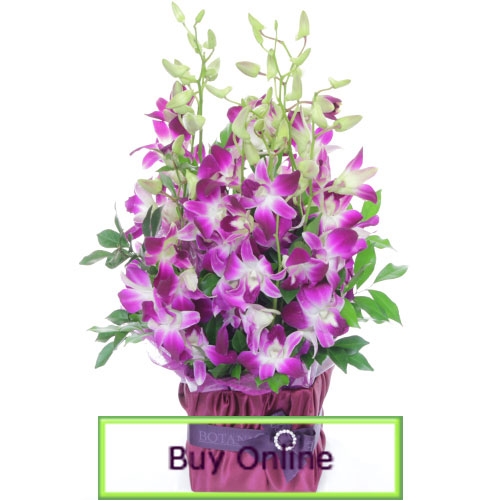 Flowers Florists Gifts Gold Coast Botanique Flowers by Tina Gold