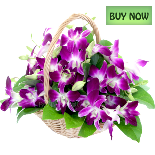 Orchid Flower Delivery Gold Coast Botanique Flowers by Tina Gold