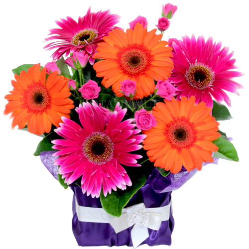 Flowers Gold Coast Australia Botanique Flowers by Tina Gold Coast