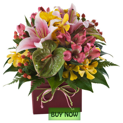 Birthday Flowers Online Gold Coast Australia Botanique Flowers by