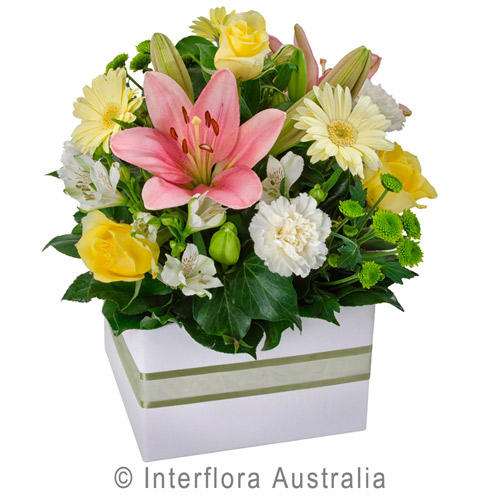 Interflora Flowers Delivery Australia Botanique Flowers by Tina Gold