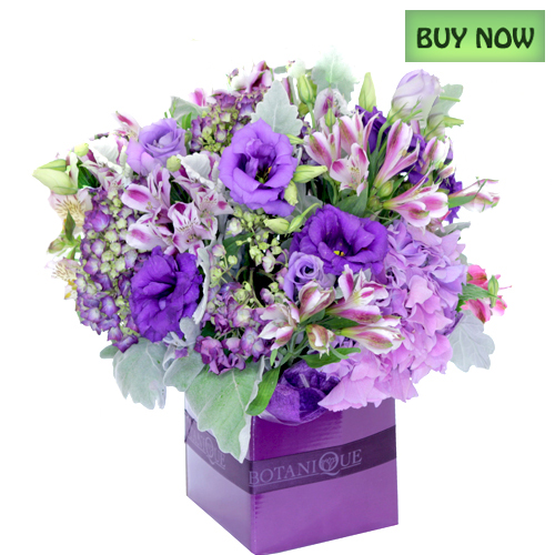 Online Florist Gold Coast Todays Flowers Botanique Flowers by Tina