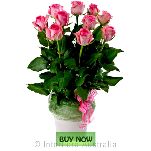 Mothers Day Flowers Gold Coast Botanique Flowers by Tina Gold Coast