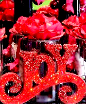 Send Christmas Gifts Gold Coast Australia send-christmas-joy-gold-coast-florist-botanique-flowers.jpg