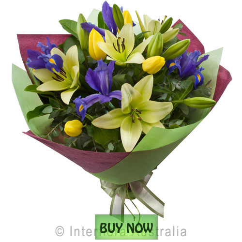 Flowers Online Gold Coast Winter and Spring Flowers Australia