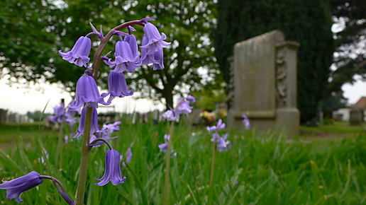 sympathy-flowers-gold-coast-australia.jpg sympathy-flowers-gold-coast-australia.jpg