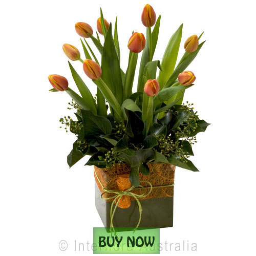 Flowers Online Gold Coast Winter and Spring Flowers Australia