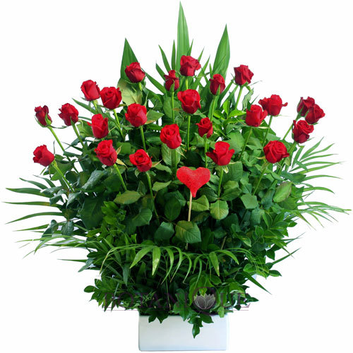 two-dozen-red-rose-flowers-gold-coast-australia-16986.1364284373.1280.1280.jpg